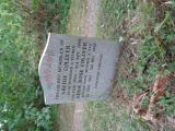 image of grave number 687145